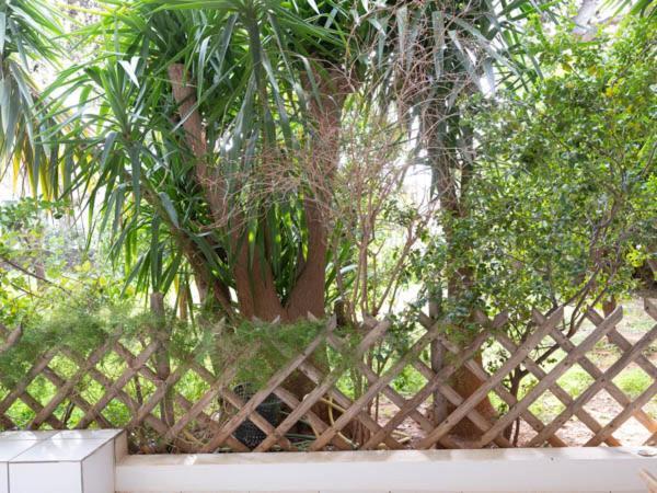 Vouliagmeni'S Secret Garden Near The Sea Appartement Athene Buitenkant foto